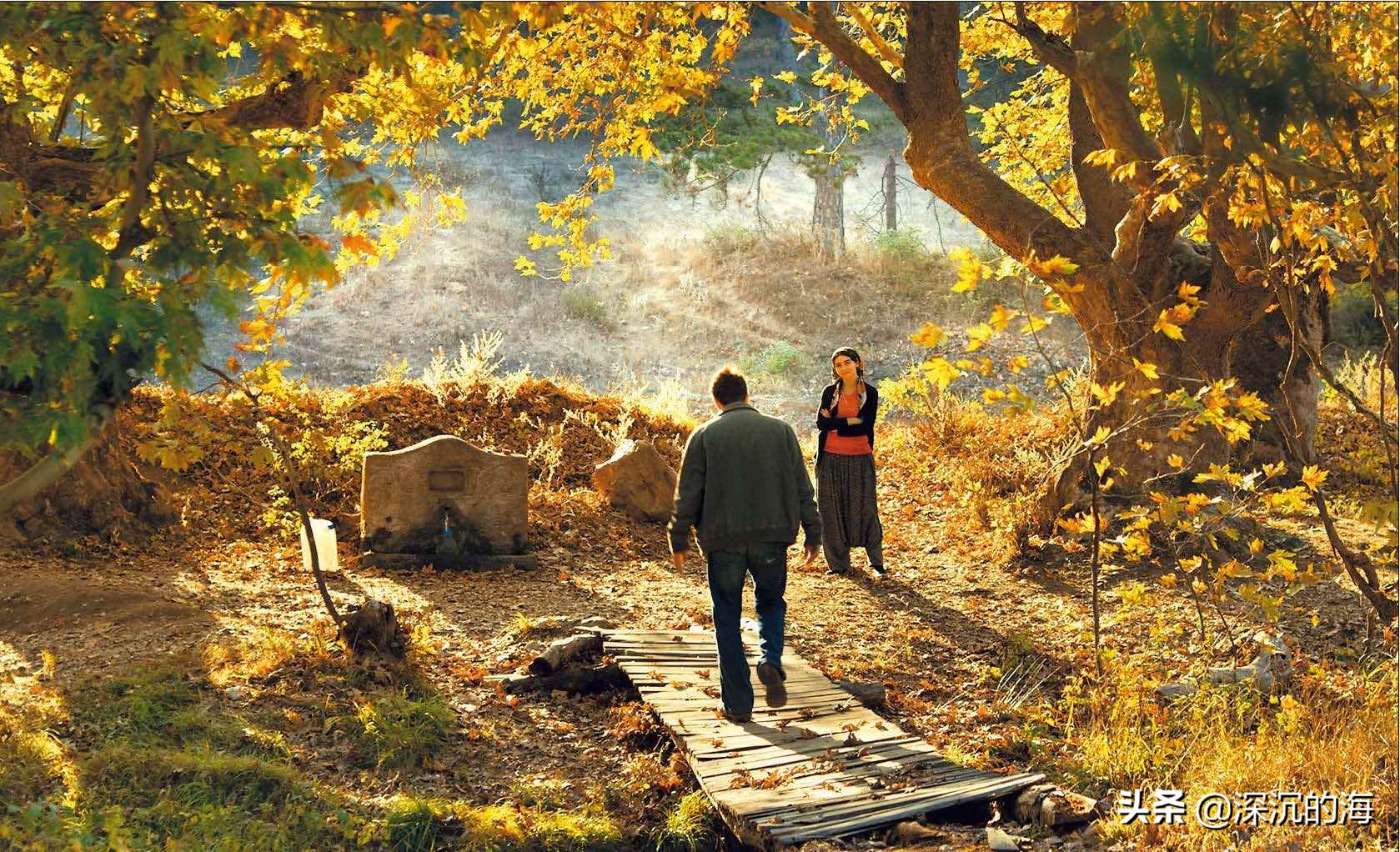 《野梨树》：这个世界是不会变的，能改变的是我们自己的内心