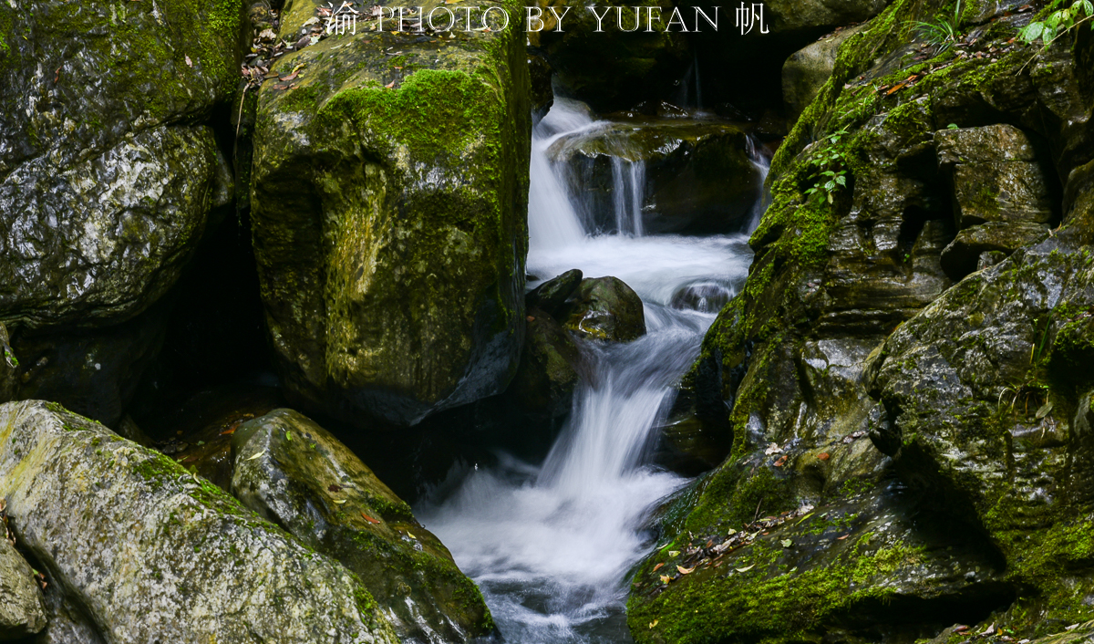 金佛山环山自驾,五一去金佛山最佳路线