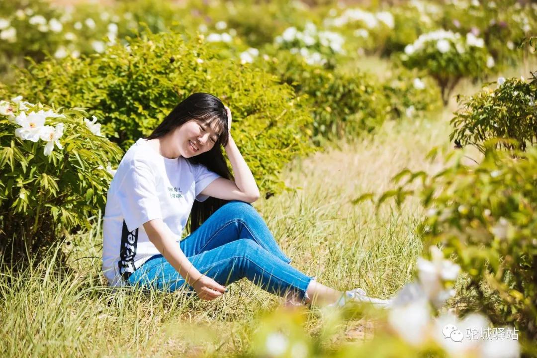 榆林牡丹园,榆林千年牡丹园