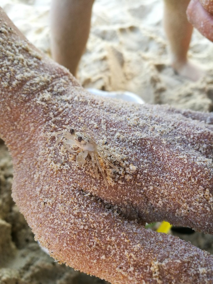 带最爱的人去吃美食,和最爱的人去哪里好玩