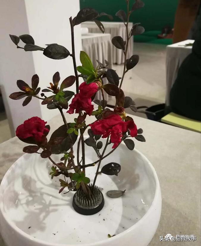 三线城市想买个五六万的车,三线城市车厘子