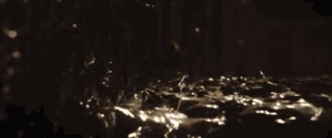 有的人可能拉完一生6吨屎，还不知道厕所是怎么来的