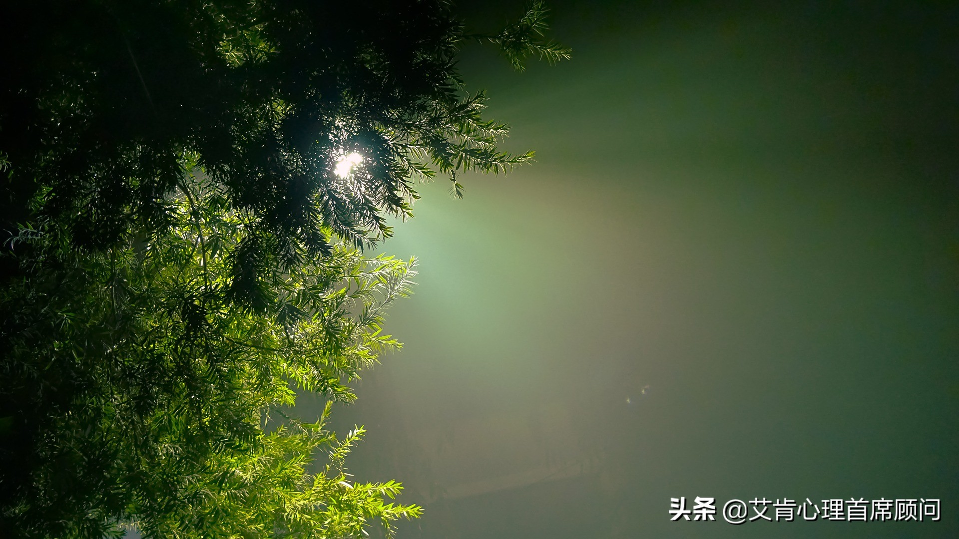 三分钟读完一本书精神明亮的人,三分钟读一本书活在当下