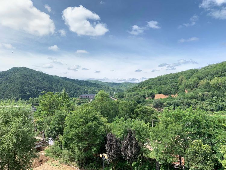 秦岭里飞出的“土蜂蜜”-------陕西省龙草坪林业局发展中蜂见闻