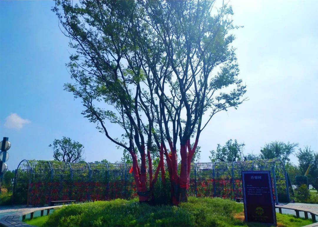 5.17遇见Ta在一起|这里有个不一样的脱单机会,速来~