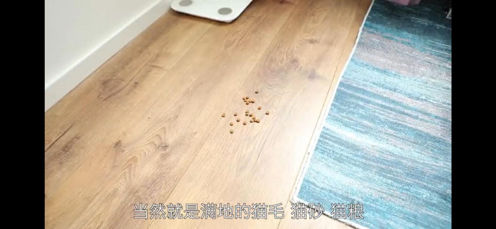 吸尘器能解决扫地拖地所有问题吗,吸尘器实用吗可以帮助我们做什么