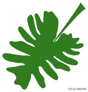 娉板紡鎸夋懇鎺ㄦ嬁瓒虫荡,娉板紡鎸夋懇瓒虫荡