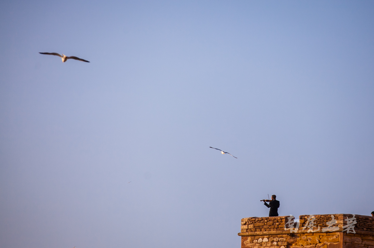 非洲有一个风城，最美的日落被大风吹过