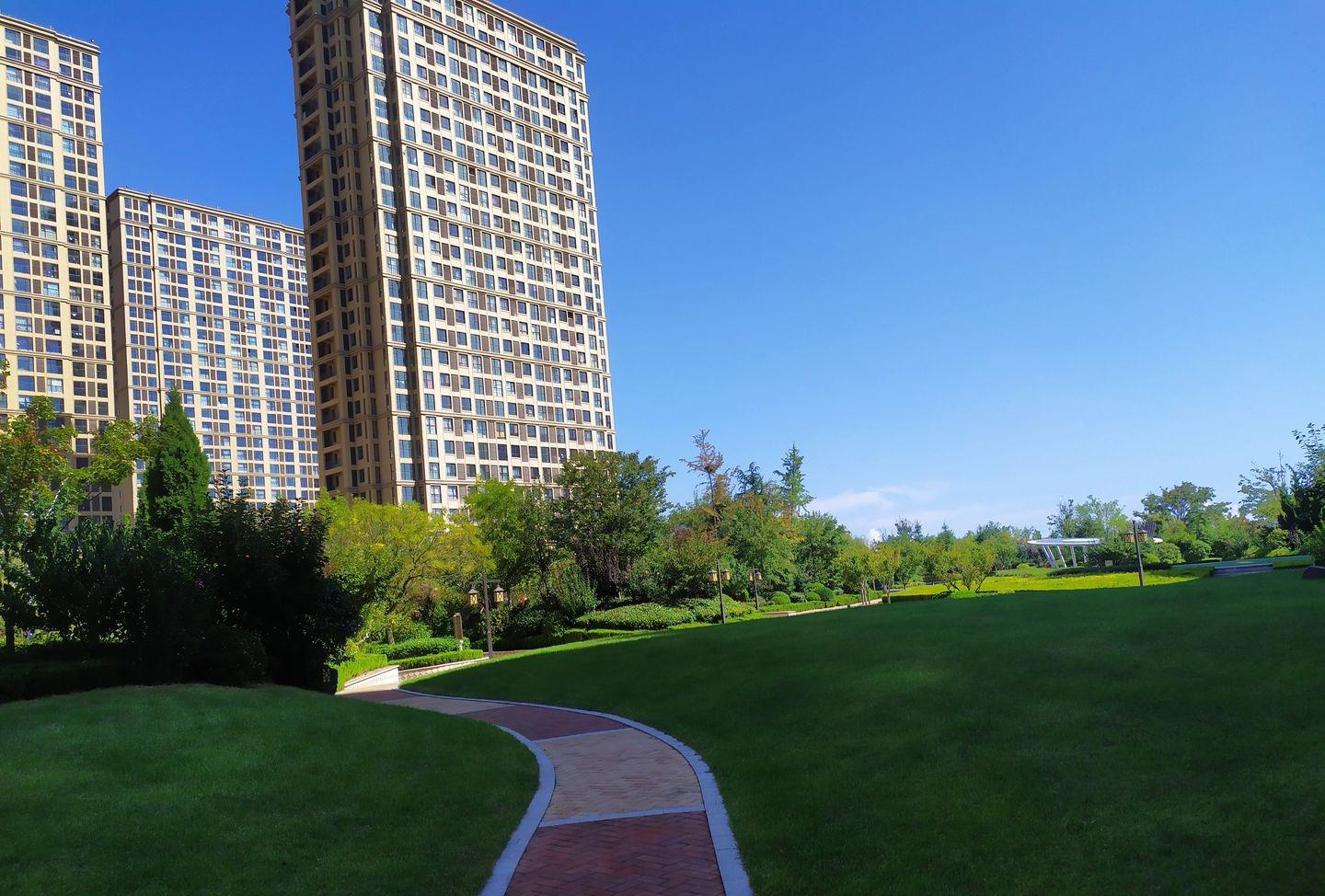 乳山银滩候鸟生活,乳山银滩哪里有鬼城