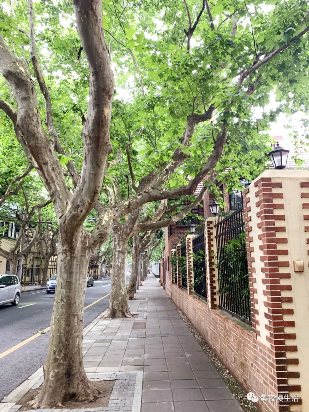 探沪上风情，享闹中取静——上海衡山路十二号华邑