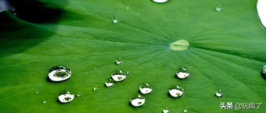 洗涤灵是洗什么的,洗涤灵为什么有泡沫