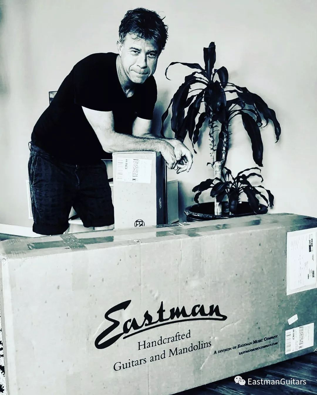 香柏木与相思木的区别,相思木和桃花心木鉴别