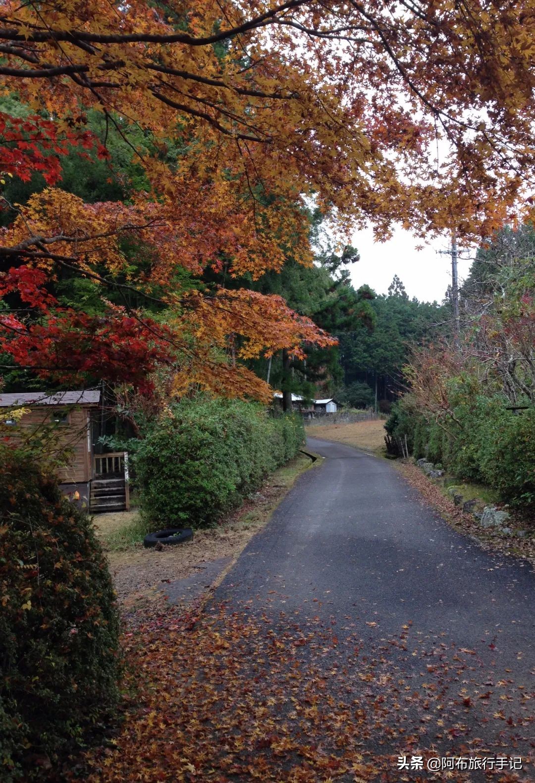 日本熊野古道拍摄,摄影师镜头下的景区