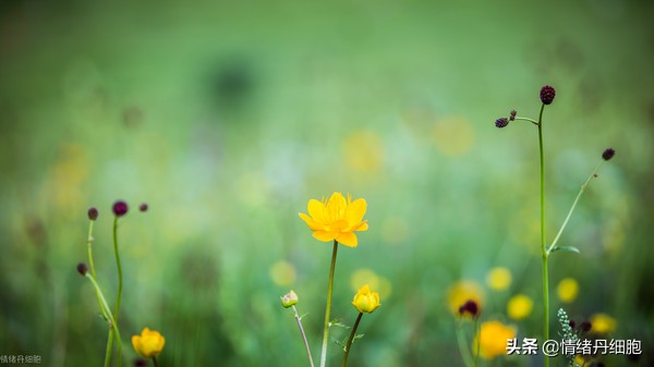 门头沟避暑景点推荐,柳树沟自然风景区旅游攻略