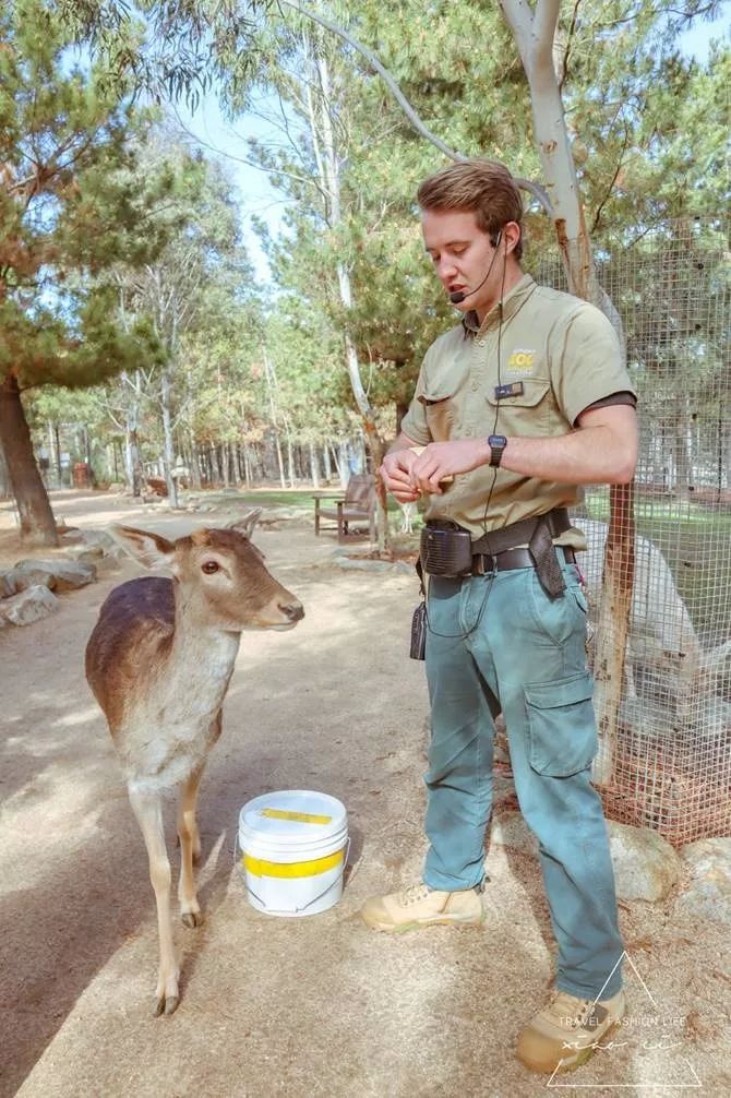 澳洲|春意堪培拉,看袋鼠、品酒、赏花、住进动物的家