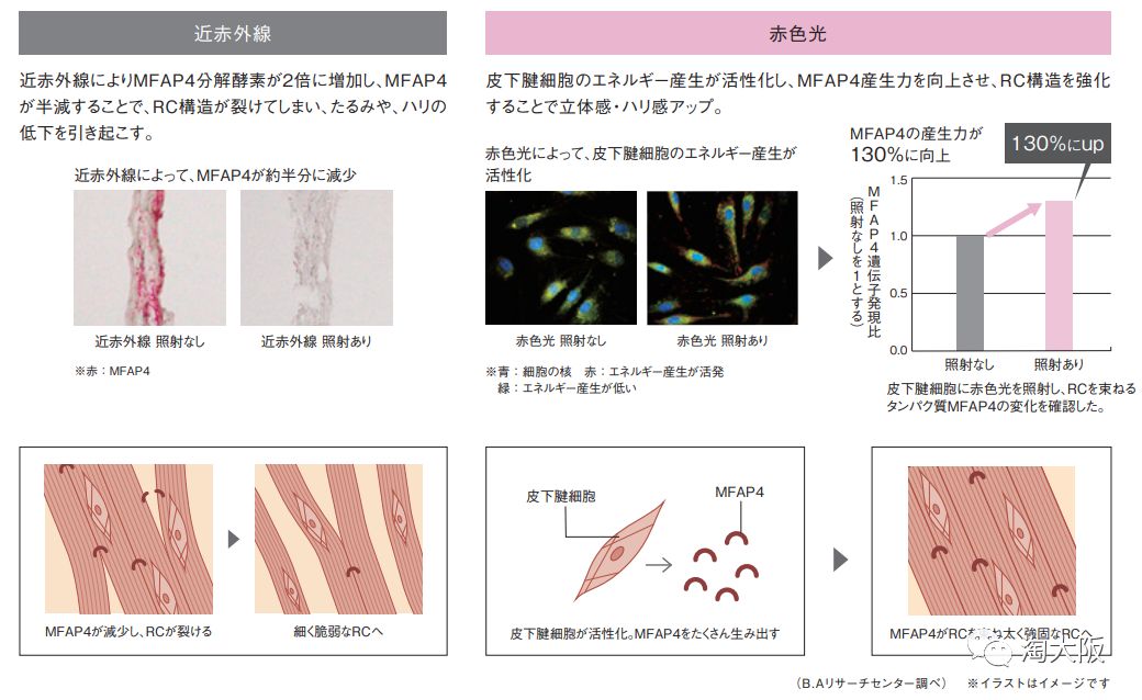 黛珂防晒最新款,新款黛珂防晒