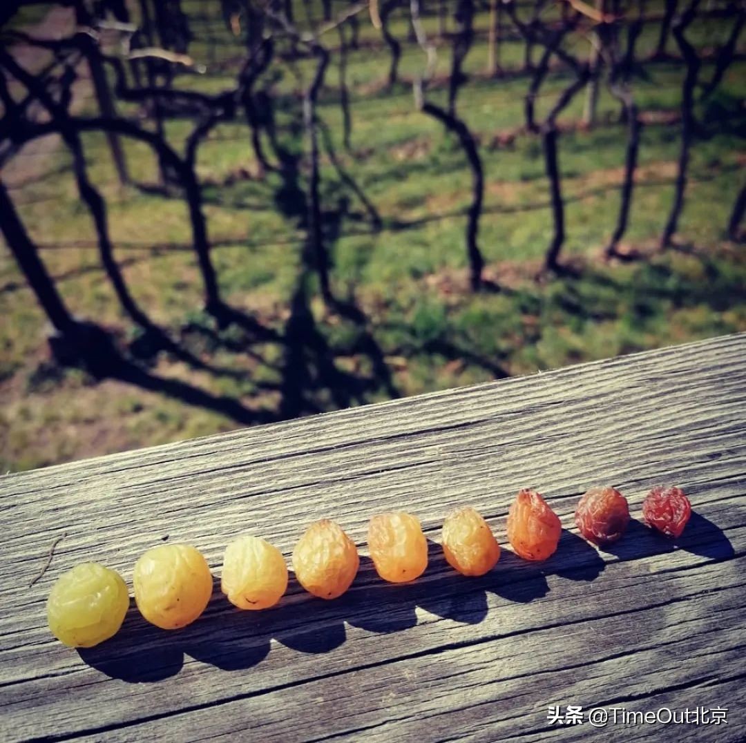 一杯充满正能量的酒,一杯有味道的酒