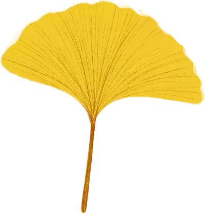 中央美术学院新生报到,中央美术学院2023新生典礼