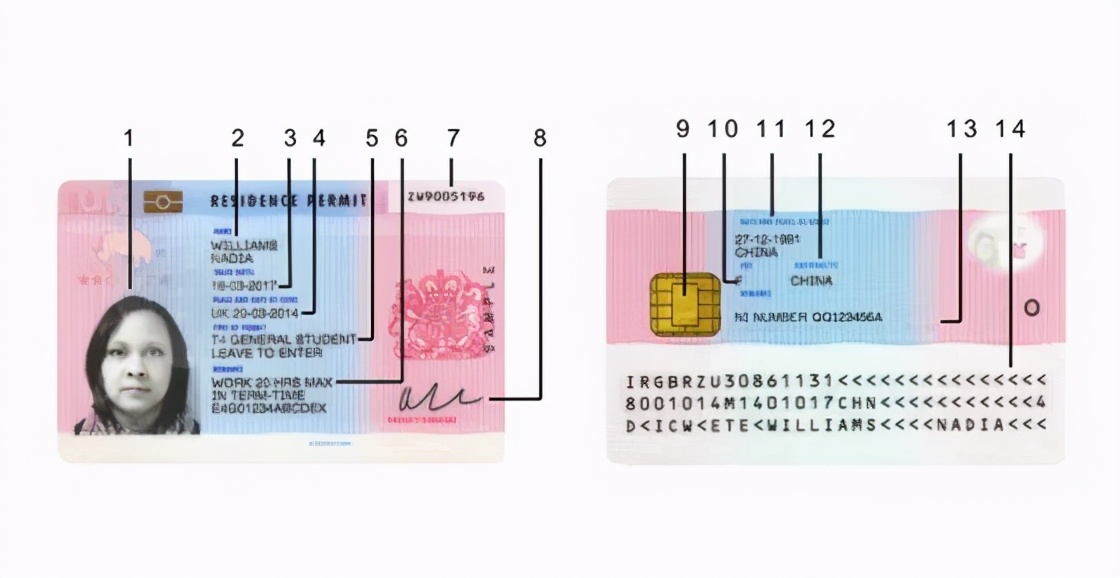 BRP到底是什么?一篇文章告诉你