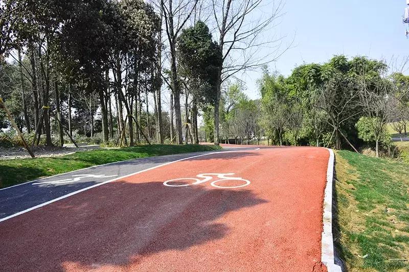 双流金马河绿道建设开始招标没有,成都双流空港绿道