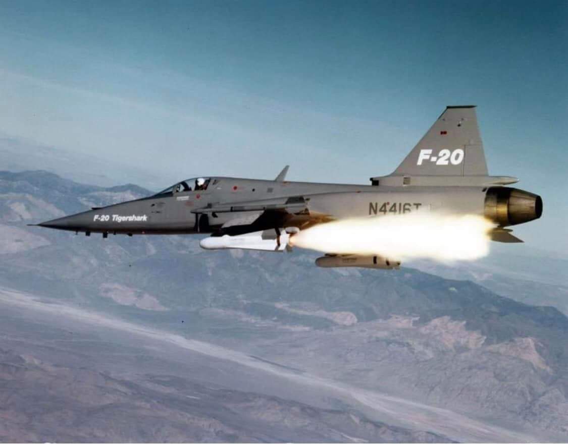 虎鲨悲剧,极富悲剧色彩的虎鲸