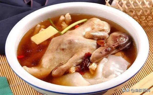 鱼胶要怎样做来吃效果好,鱼胶怎么吃最营养鱼胶的做法大全