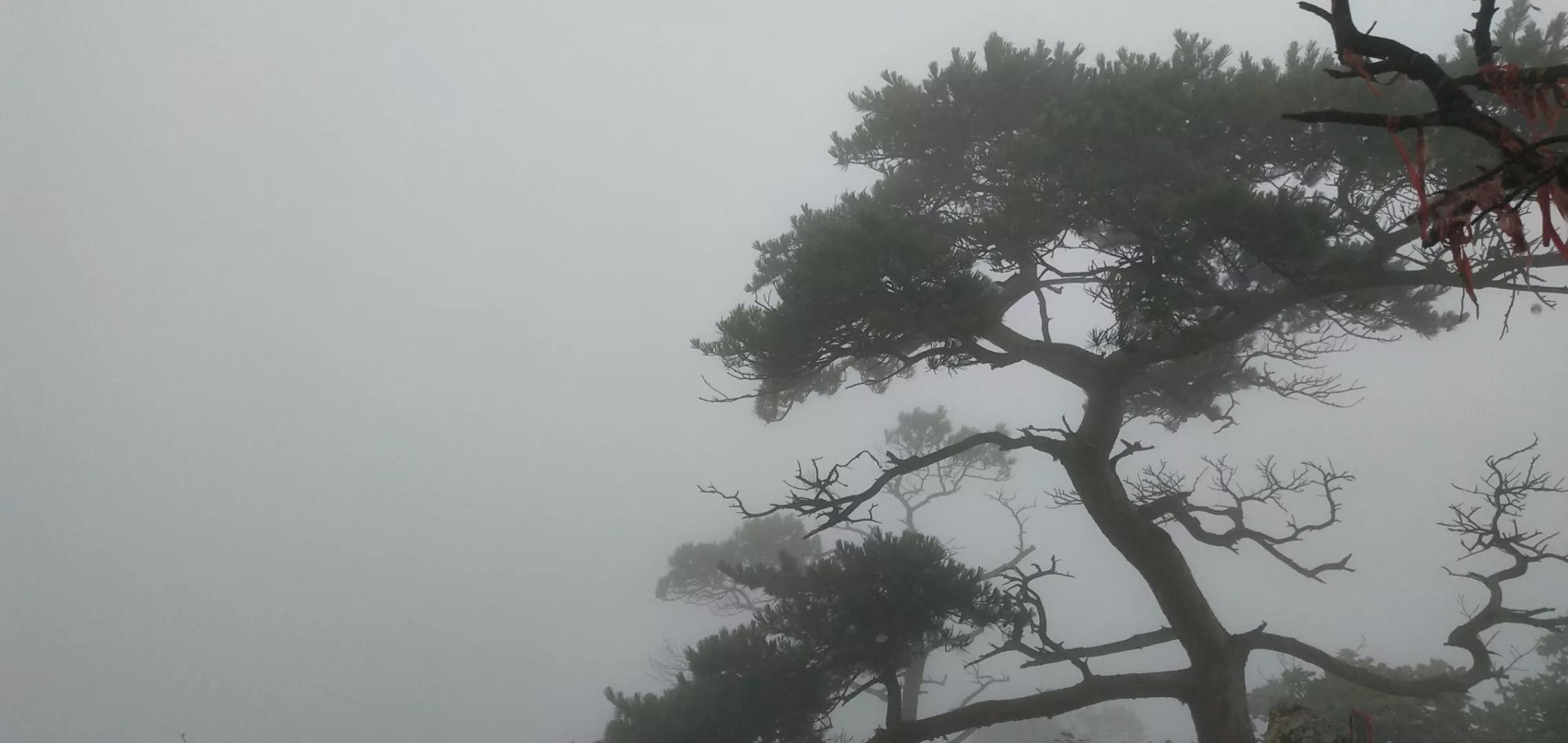 庄河天门山国家森林公园,庄河天门山冰雪大世界