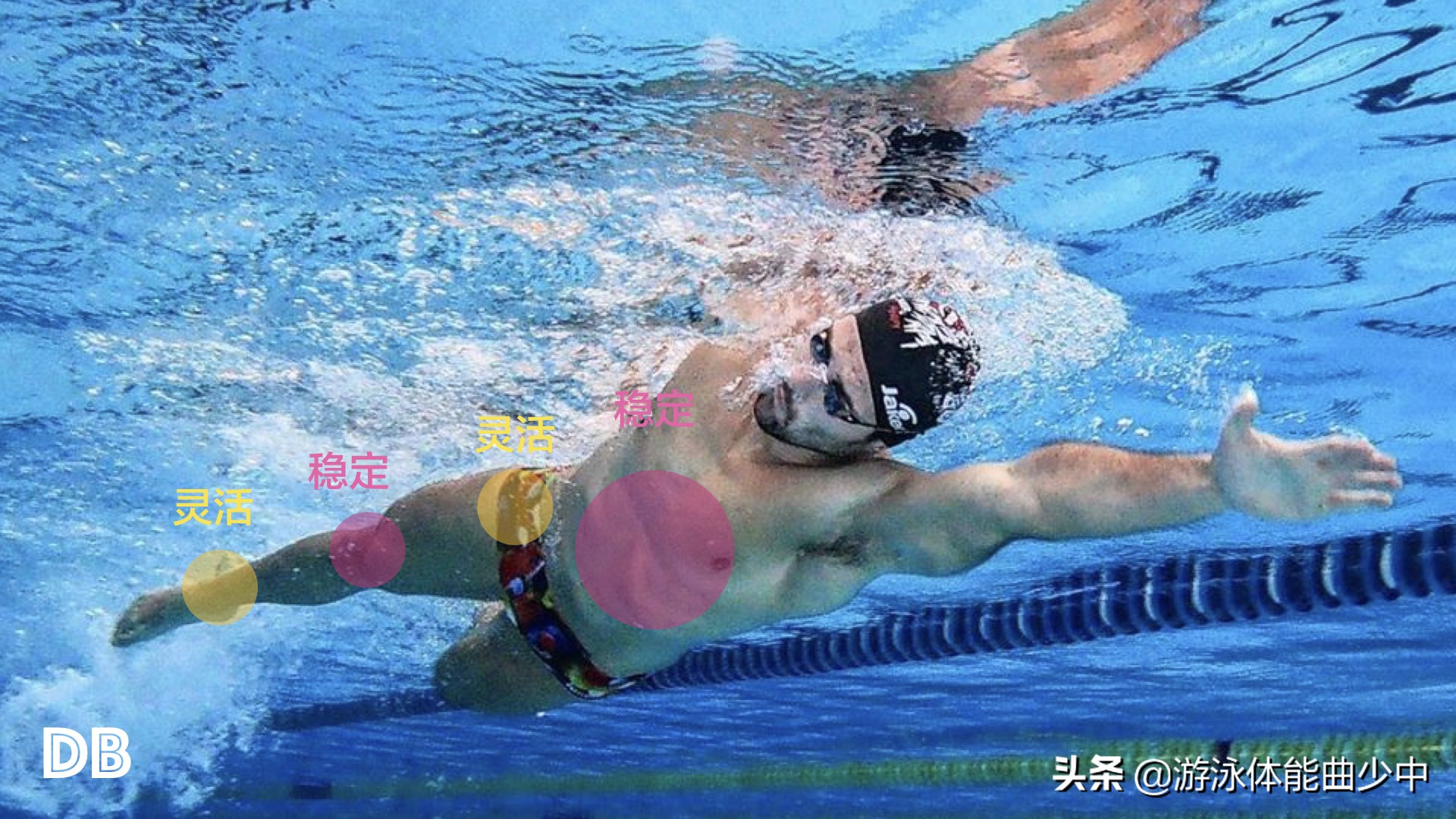 为什么游泳时要收紧核心？近端稳定造就远端的出色技术