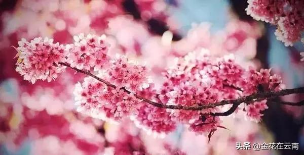 大理什么时候旅游最好,大理一年四季温度是多少