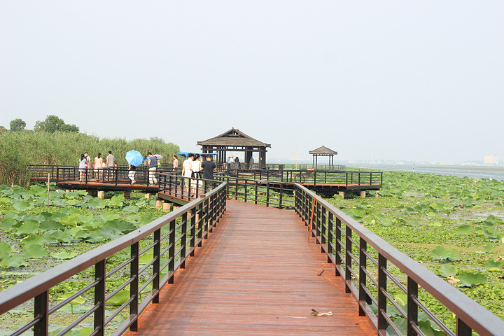 阳澄湖莲花岛亲子一日游攻略,阳澄湖莲花岛一日游攻略门票价格