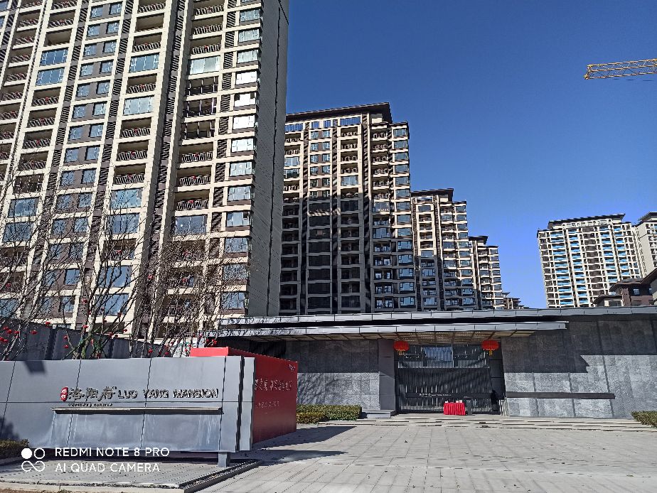 为什么神都人选择物业总是衷爱绿都