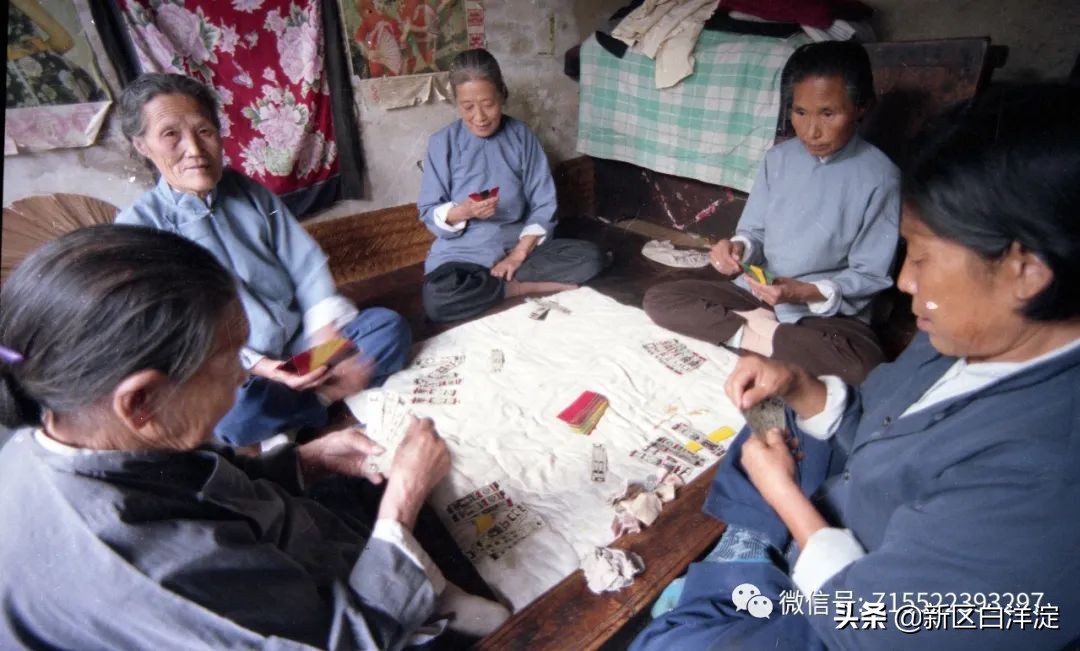 白洋淀红色记忆旅行社,白洋淀著名的红色事迹