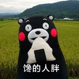 月经推迟没怀孕怎样催经,不知道怀孕吃什么可以催经