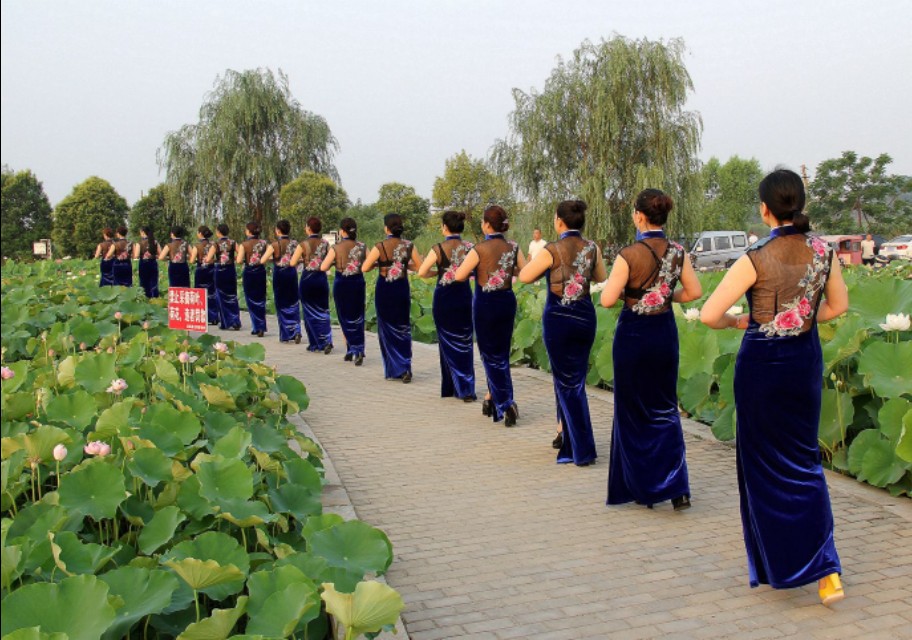 淮阳龙湖赏荷旅游视频,中国淮阳龙湖赏荷旅游月活动启动