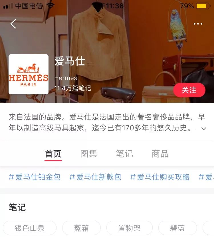 小红书下架的根本原因，你们都猜错了