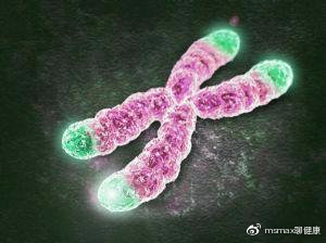 口服胶原蛋白真的有效么,口服胶原蛋白真的有效