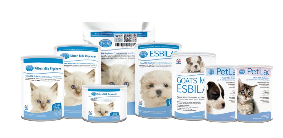 谁在证明PetAg美国倍酷奶粉的强大口碑？来自全球用户的真实反馈