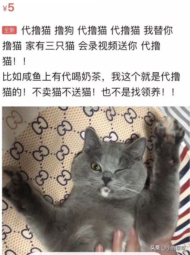 代吃代喝真的有用吗,代吃代喝火了吗