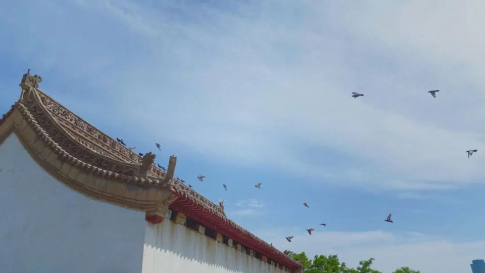 何为出家人的底色？每种都来之不易，学佛人都该看看