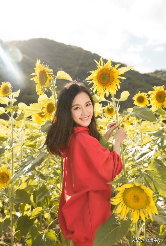 孙骁骁和袁弘,孙骁骁费沁源