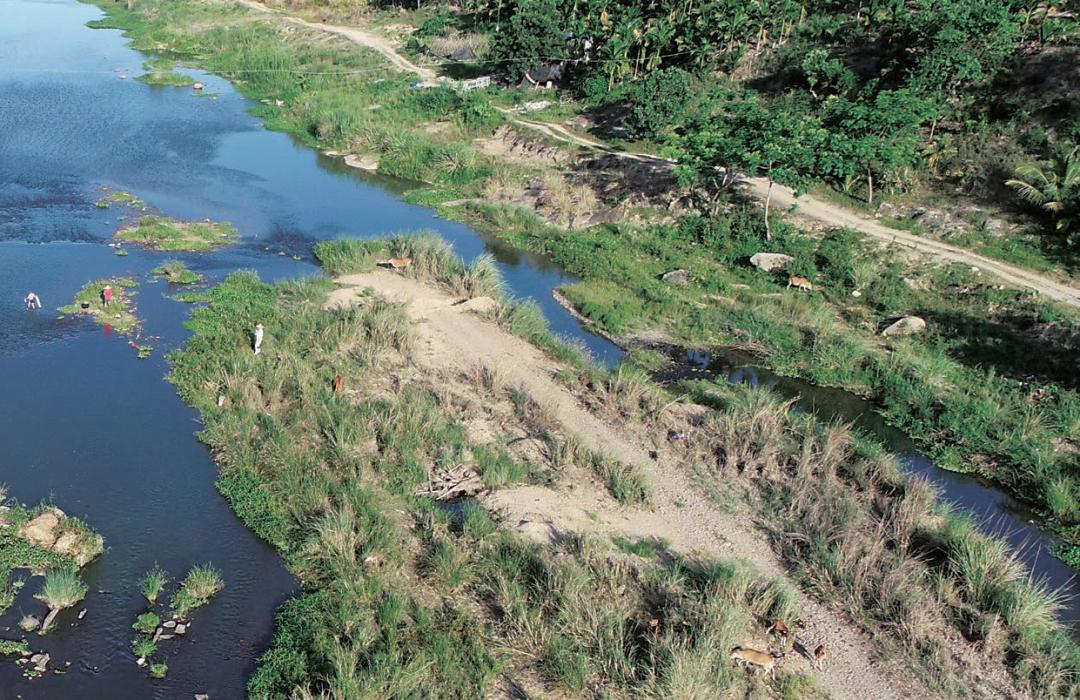 各种淡水鱼你认识吗,淡水鱼的种类你认识几种