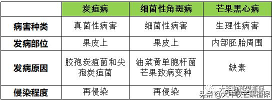 芒果黑心病要了果农的命啊，到底该怎么防治？？？？？