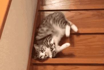 每年冬天都长胖怎么办,每逢过冬胖五斤