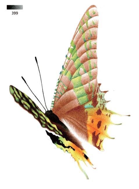 3d错觉画教程,3d错觉画作品