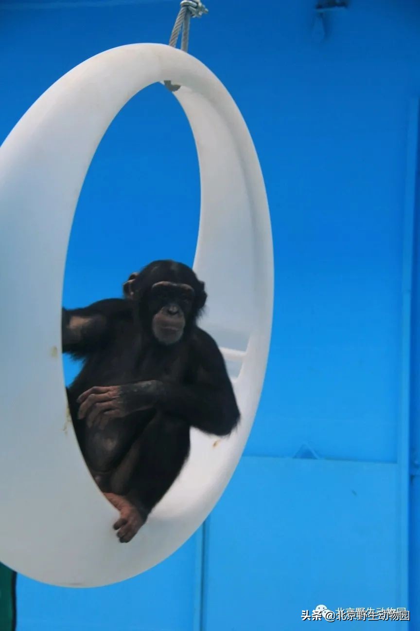 我的“欧慨”找不到啦