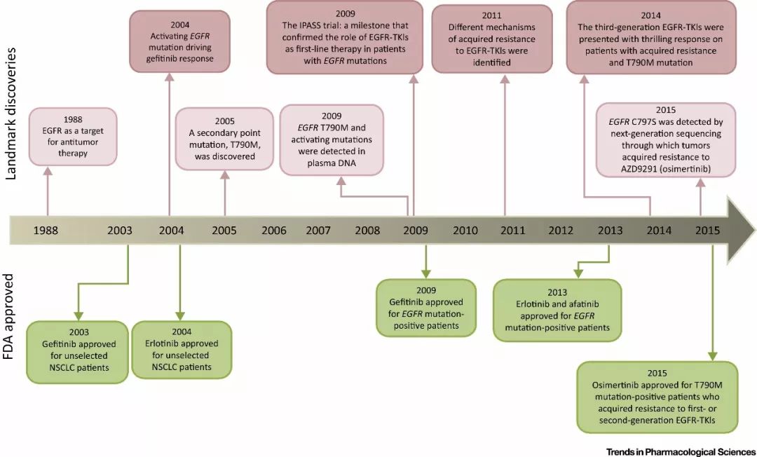 靶向制剂的作用,国内靶向药的英语
