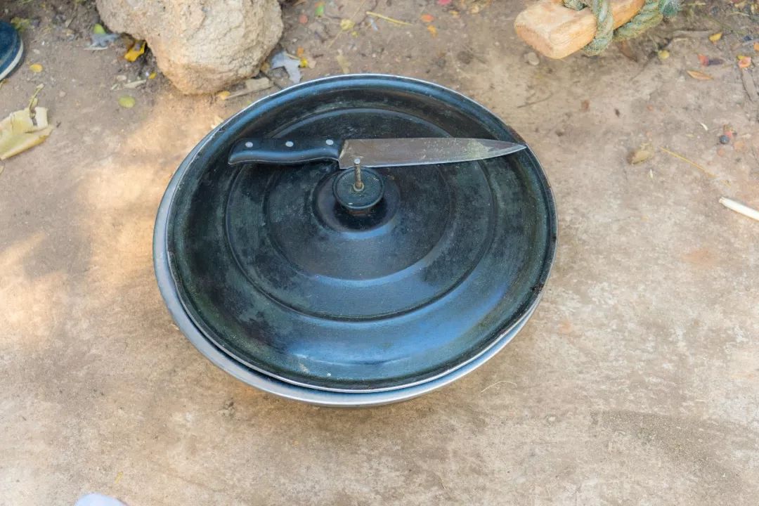 土蜂蜜取蜜全过程,土蜂蜜正确取蜜方法