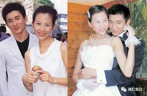 香江美人传奇李嘉欣,香江美人传奇洪欣