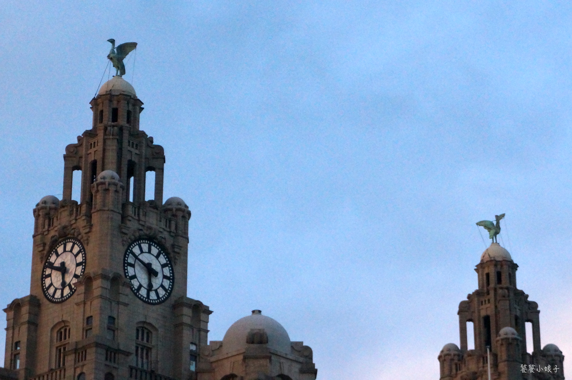 利物浦队徽上是什么鸟,利物浦队徽上的是什么鸟