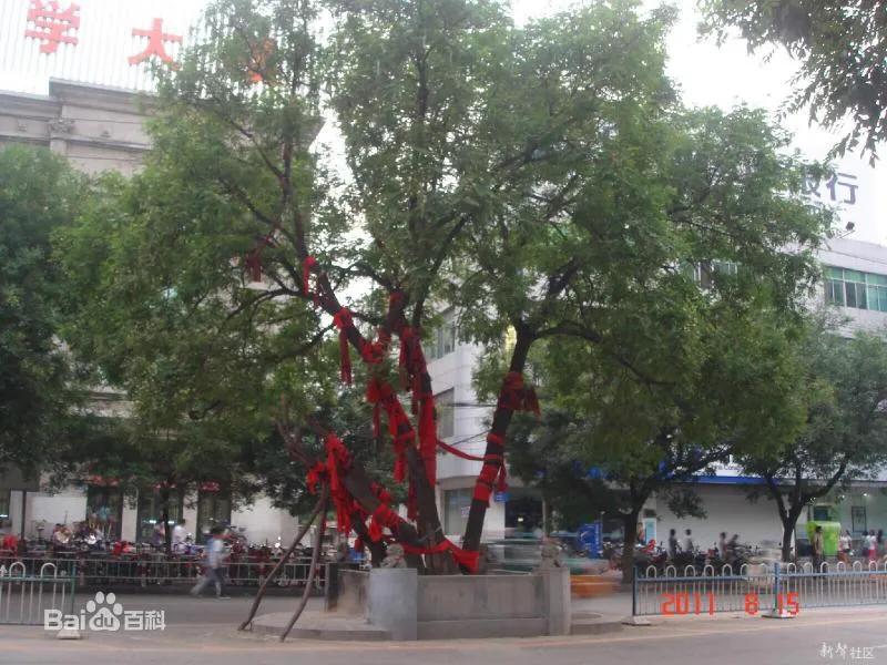 老济宁谚语,济宁老方言视频